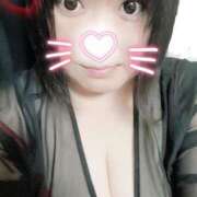 ヒメ日記 2025/03/23 12:43 投稿 ひなた 群馬渋川水沢ちゃんこ