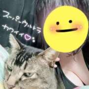 ヒメ日記 2025/03/31 07:08 投稿 ひなた 群馬渋川水沢ちゃんこ