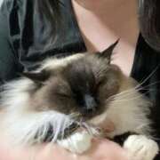 ヒメ日記 2025/04/03 21:33 投稿 ひなた 群馬渋川水沢ちゃんこ