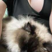 ヒメ日記 2025/04/21 20:08 投稿 ひなた 群馬渋川水沢ちゃんこ