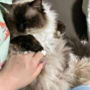 ヒメ日記 2025/09/24 05:38 投稿 ひなた 群馬渋川水沢ちゃんこ