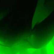 ヒメ日記 2025/09/24 19:48 投稿 ひなた 群馬渋川水沢ちゃんこ