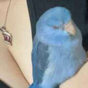 ヒメ日記 2026/03/11 20:48 投稿 ひなた 群馬渋川水沢ちゃんこ