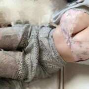 ヒメ日記 2025/10/22 04:47 投稿 れもん ピーチガール