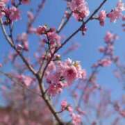 ヒメ日記 2025/03/24 14:20 投稿 なつめ イクイクサークル鶯谷店