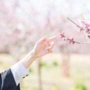 ヒメ日記 2025/03/25 14:07 投稿 なつめ イクイクサークル鶯谷店