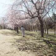 ヒメ日記 2025/04/04 14:16 投稿 なつめ イクイクサークル鶯谷店