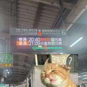 ヒメ日記 2025/04/12 22:16 投稿 なつめ イクイクサークル鶯谷店