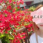 ヒメ日記 2025/04/20 11:53 投稿 かれん abc＋