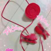 ヒメ日記 2025/07/29 14:52 投稿 かれん abc＋