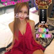 ヒメ日記 2025/10/24 09:25 投稿 かれん abc＋