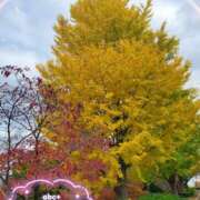 ヒメ日記 2025/11/24 09:30 投稿 かれん abc＋