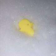 ヒメ日記 2025/08/15 22:01 投稿 のん スパーク日本橋