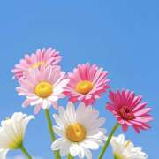 ヒメ日記 2025/05/30 10:34 投稿 ことみ 越谷熟女デリヘル マダムエプロン