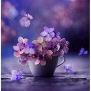 ヒメ日記 2025/06/11 10:30 投稿 ことみ 越谷熟女デリヘル マダムエプロン