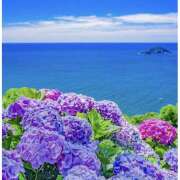 ヒメ日記 2025/06/16 10:05 投稿 ことみ 越谷熟女デリヘル マダムエプロン