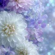 ヒメ日記 2025/06/21 08:32 投稿 ことみ 越谷熟女デリヘル マダムエプロン