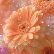 ヒメ日記 2025/10/11 20:00 投稿 ことみ 越谷熟女デリヘル マダムエプロン