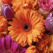 ヒメ日記 2025/10/13 16:56 投稿 ことみ 越谷熟女デリヘル マダムエプロン