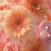 ヒメ日記 2025/10/14 17:25 投稿 ことみ 越谷熟女デリヘル マダムエプロン