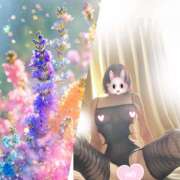 ヒメ日記 2026/02/05 14:47 投稿 ことみ 越谷熟女デリヘル マダムエプロン