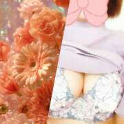 ヒメ日記 2026/02/07 10:47 投稿 ことみ 越谷熟女デリヘル マダムエプロン