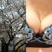 ヒメ日記 2026/03/29 17:08 投稿 ことみ 越谷熟女デリヘル マダムエプロン