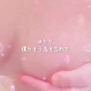 ヒメ日記 2026/05/08 16:13 投稿 ことみ 越谷熟女デリヘル マダムエプロン
