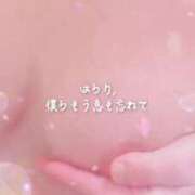 ヒメ日記 2026/05/08 16:16 投稿 ことみ 越谷熟女デリヘル マダムエプロン