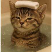 ことみ 推し活行って来ます,,>᎑<,, 越谷熟女デリヘル マダムエプロン