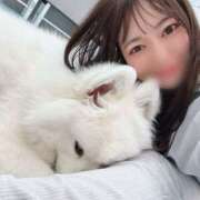 ヒメ日記 2026/04/14 12:16 投稿 ひまり ギャルズネットワーク神戸