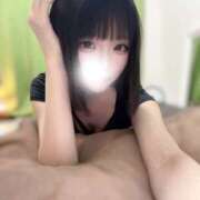 真白ひまり 🐾今週の出勤予定🐾 Darlin Premium(ダーリンプレミアム)