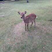 ヒメ日記 2025/04/29 11:45 投稿 きら if(イフ) 中村店