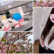 ヒメ日記 2025/03/25 15:15 投稿 ゆうり clubさくら梅田店