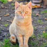 小野崎 寂しいな 熟女の風俗最終章 横浜本店