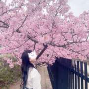 ヒメ日記 2025/04/11 12:54 投稿 三嶋 りょう 高級倶楽部 月兎貴婦人 大阪