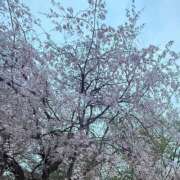 ヒメ日記 2025/04/26 21:11 投稿 あおい【FG系列】 フィーリングin横浜