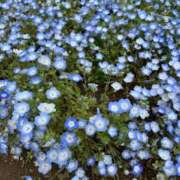 ヒメ日記 2025/03/21 23:00 投稿 小山　あけみ 30・40・50代☆人妻熟女コレクション