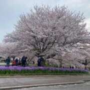 ヒメ日記 2025/04/08 23:10 投稿 小山　あけみ 30・40・50代☆人妻熟女コレクション