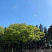 ヒメ日記 2025/04/16 14:11 投稿 小山　あけみ 30・40・50代☆人妻熟女コレクション