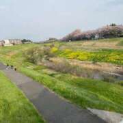 ヒメ日記 2025/04/17 09:48 投稿 小山　あけみ 30・40・50代☆人妻熟女コレクション