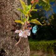 ヒメ日記 2025/04/18 10:07 投稿 小山　あけみ 30・40・50代☆人妻熟女コレクション