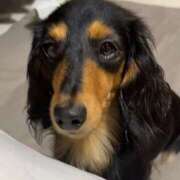 ヒメ日記 2025/05/01 21:39 投稿 小山　あけみ 30・40・50代☆人妻熟女コレクション