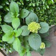 ヒメ日記 2025/06/03 11:01 投稿 小山　あけみ 30・40・50代☆人妻熟女コレクション