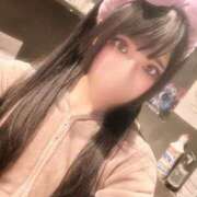 ヒメ日記 2025/03/20 14:45 投稿 ふゆ ベイビーモコ