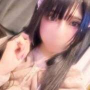 ヒメ日記 2025/03/29 12:22 投稿 ふゆ ベイビーモコ