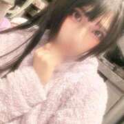 ヒメ日記 2025/04/05 12:04 投稿 ふゆ ベイビーモコ