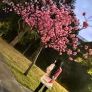 ヒメ日記 2025/04/06 11:00 投稿 ふゆ ベイビーモコ