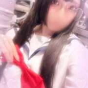 ヒメ日記 2025/04/08 12:12 投稿 ふゆ ベイビーモコ