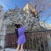 ヒメ日記 2025/04/10 11:00 投稿 ふゆ ベイビーモコ